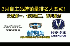 3月自主品牌销量排名大变动，长安第一，长城第二，吉利垫底