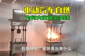 明明燃油车自燃概率比电动车更高，为何自燃却成了电动汽车的原罪视频封面