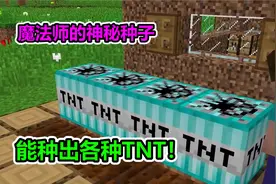 MC我的世界：魔法师给我神秘种子，能种出来各种TNT