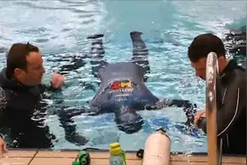 克罗地亚54岁男子水下闭气24分33秒 打破世界纪录