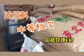 母猪买饲料，浓缩料还是全价料好，价格如何？小酒决定探探行情。视频封面