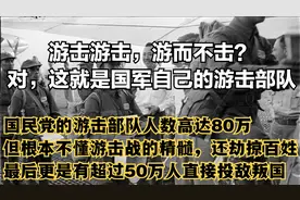 游击游击，游而不击？对，不过这说的是国民党军自己的游击部队