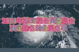 除名台风名单册视频封面