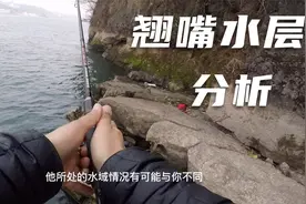 翘嘴的水层在哪里？也许在下层也很密集