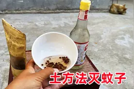 不用蚊香不同药，消灭蚊虫有技巧，掌握农村土方法蚊虫再也不敢来视频封面