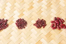 红豆的种类和区别，很多人都不清楚，今天终于弄明白了