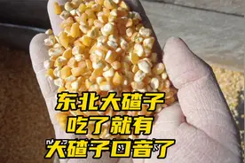 东北人有多爱吃大碴子，难怪东北话被称大碴子味，家家都上百斤磨视频封面