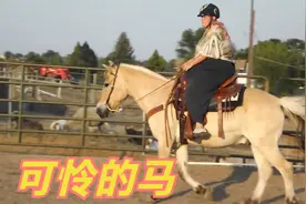 原来世界上排名前十的名马，汗血马根本没有排上名次，满嘴跑名马视频封面