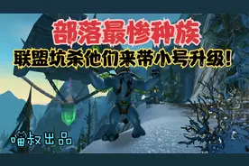 魔兽世界怀旧服：联盟小号快速升级福利，竟然在这种高山之上！