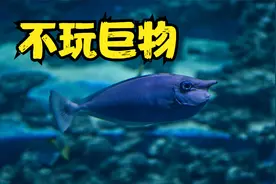 劝你们别玩巨物，没用！都是幻觉视频封面