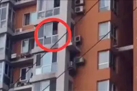 男子因家庭矛盾发泄情绪 竟从13楼抛下花盆 被监控拍下后遭刑拘视频封面