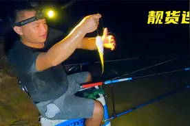这样钓鲶鱼效率真高，一直连竿，像我这样做，告别空军视频封面