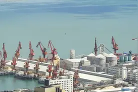 深圳最大码头到底有多大，带你用这个视角看看它的庞大视频封面