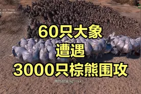 当60只大象遭遇3000只棕熊围攻！