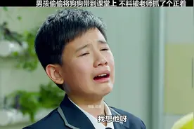 男孩偷偷将狗狗带到课堂上 不料被老师抓了个正着