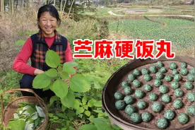 农村大妈用苎麻，给家人做了一道奇怪的美食，做法原始，味道美味