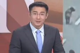 “金毛”偷鸡300只，竟是主人训练的，涉嫌盗窃被抓丨生活这一刻视频封面