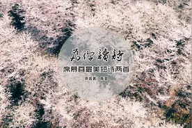 声音的行者：席慕蓉最美散文诗两篇《山樱》《青春》视频封面