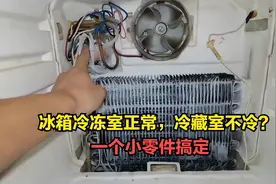 冰箱冷冻室正常冷藏室不制冷？原因很简单，换一个小零件就行视频封面