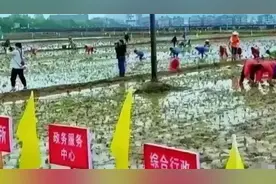 湖南一乡镇回应“干部3天花49万插秧2亩助农”：不实视频封面