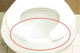 为什么国外马桶圈都有“缺口”，而国内却没有？看完恍然大悟