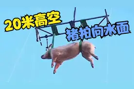 从高空跳水，腹部先落水，会被拍死吗？高空跳水有多危险视频封面