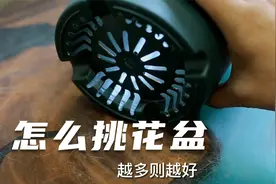 养花怎么选一个好花盆？园艺师教你，“看底部”就能辨别好不好用视频封面