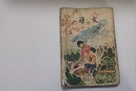 都是人教版的教材，40年前语文二年级第四册课本的插图真的很精美视频封面