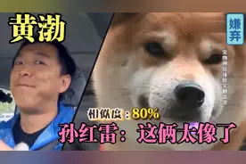 黄渤孙红雷真是一对冤家，与狗撞脸相似度高，俩人碰一起太欢乐了