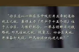1946年，中国内战全面爆发，粟裕老总第一次“进谏”丨大揭秘视频封面