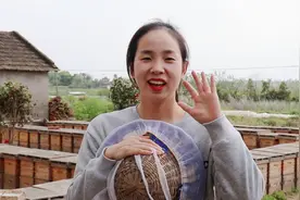 天然蜂蜜和人工蜂蜜、的区别在哪里？养蜂人分享给您几个小妙招