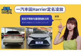 一汽丰田Harrier定名凌放，定位于荣放与皇冠陆放之间/或11月上市