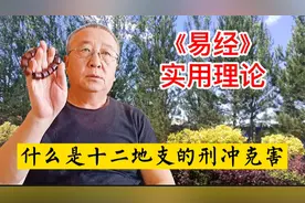 《易经》实用基础理论，什么是12地支的刑冲克害合视频封面