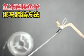 鱼线如何连接鱼竿？绑个简单的马蹄结，钓鱼时拆解方便还不易切线