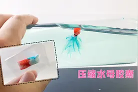 制作压缩水母胶囊，入水即化，好玩有趣的手工玩具视频封面