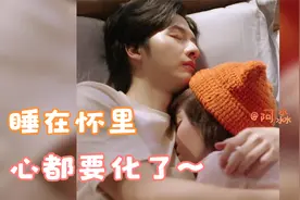 各家猫咪对比：你家的猫VS大树家的猫