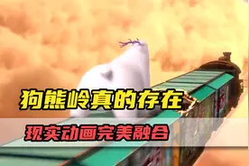 原来狗熊岭真的存在？来自现实与动画的完美融合！视频封面