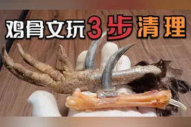 文玩鸡爪骨制作流程讲解第三步：去皮清理