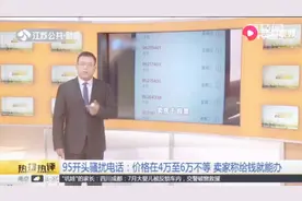 95开头骚扰电话：价格在4万至6万不等，卖家称给钱就能办