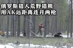 一人两狗用AK猎熊是什么体验？猎人瞄准100多米外的熊，连开两枪