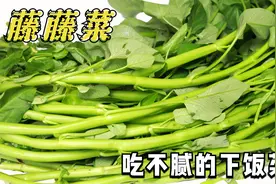 藤藤菜杆子别扔，四川特色下饭做法，脆嫩不发黄，端上桌就被抢光