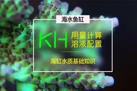 来啦来啦！海缸KH的用量计算及溶液配置演示来啦！海缸新手快来看