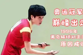 25年前，拒绝教练让球，得到奥运冠军的陈静巅峰出走后怎样了！