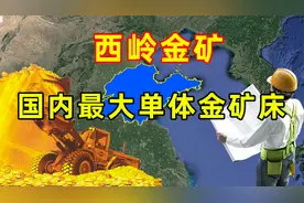 极为罕见！山东发现世界级大金矿，值2000亿，身为山东人，我骄傲视频封面