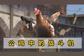 印度公鸡急着逃离赛场，用近8厘米刀子刺死主人，已被依法拘留视频封面