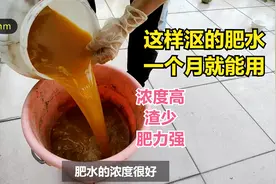 楼顶种菜：瓜果皮这样沤肥，1个月就可以用，肥水浓渣少肥力强