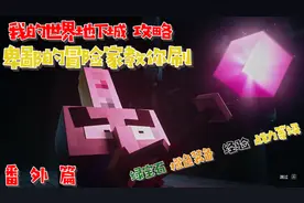 【我的世界地下城攻略】番外篇 卑鄙的冒险家教你刷等级 刷装备