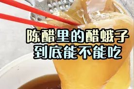 陈醋放久了产生的醋蛾子到底能吃吗？