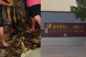 “土坑酸菜”事件追踪：当地4名官员被追责，地方支柱产业遭重创