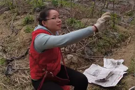 为了能多生健康鸡蛋，看妹子用柴火炉煮什么给鸡妈妈们补充营养？视频封面